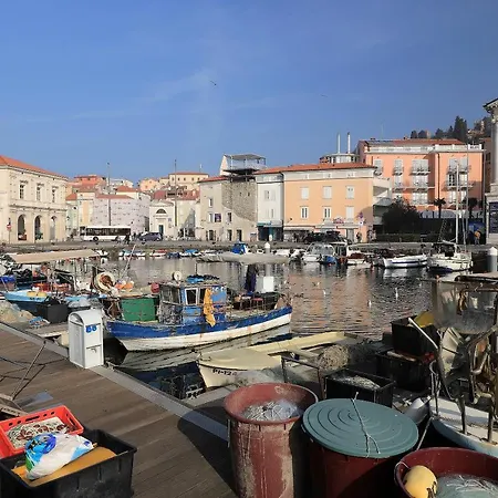Redrose Apartment Piran